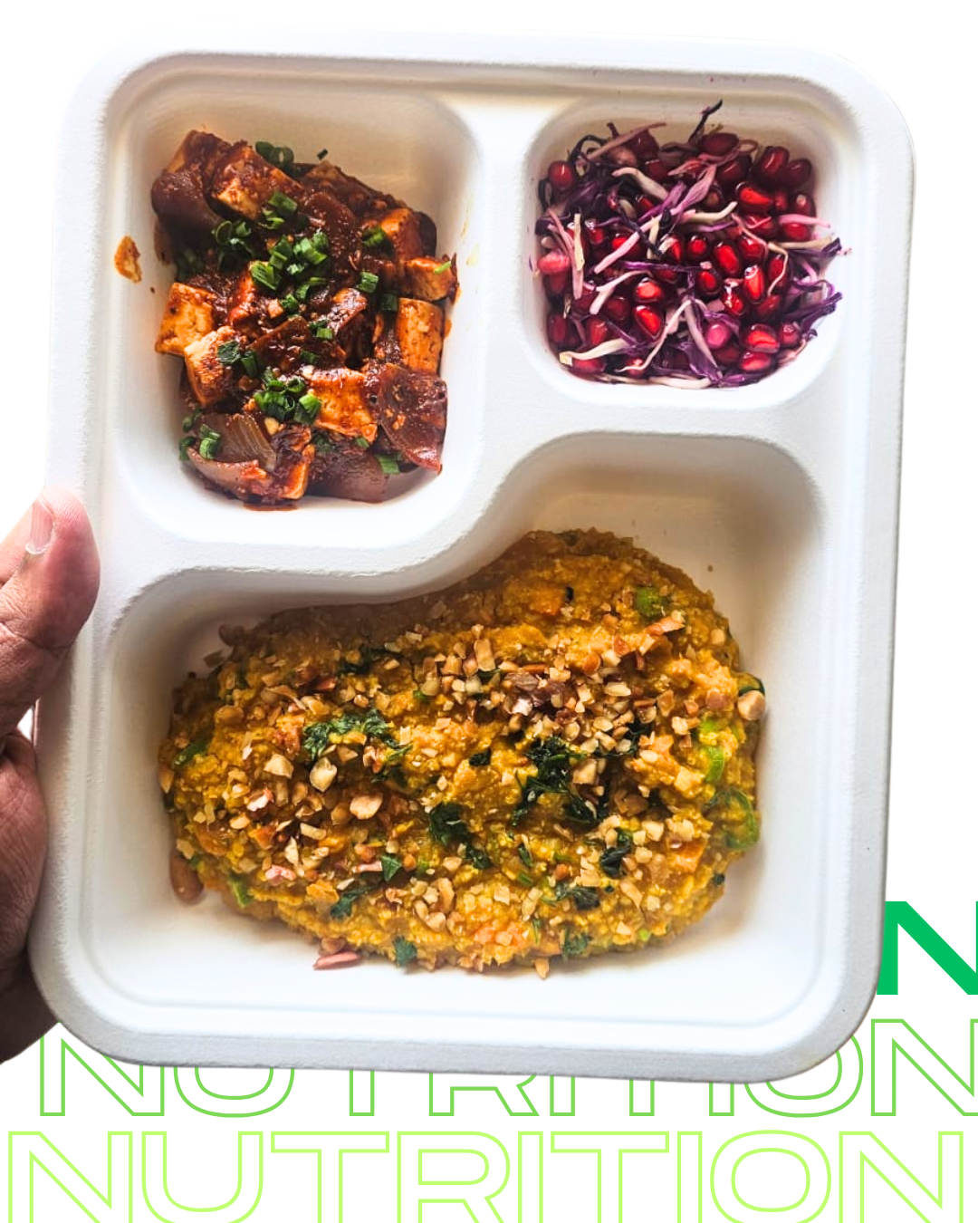 Balanced Plates by Dr. Nikita Suresh