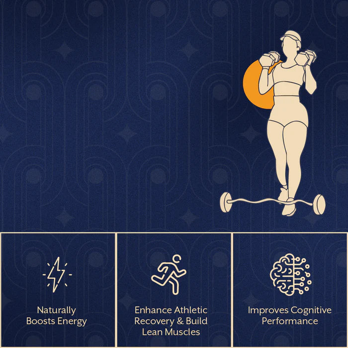 EAA Protein Support | All 9 Essential Amino Acids + Creatine + AAKG | Lemon Flavor