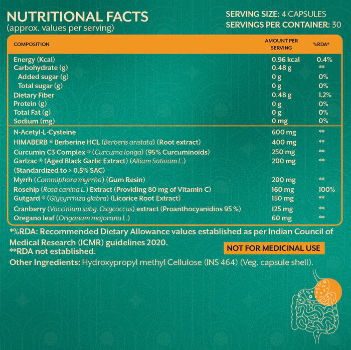 iThrive Essentials H Pylori Relief - Botanical Gut Protocol | 120 Capsules